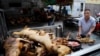 深圳成为中国首个明确禁止食用猫狗的城市