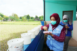 Penitipan ember berisi telur nyamuk ber-Wolbachia di Kota Yogyakarta. (Foto: Dok WMP Yogyakarta)