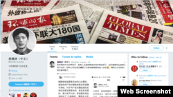 环球时报总编胡锡进推特页面截图