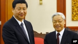 Chủ tịch Trung Quốc Tập Cận Bình và Tổng bí thư Nguyễn Phú Trọng