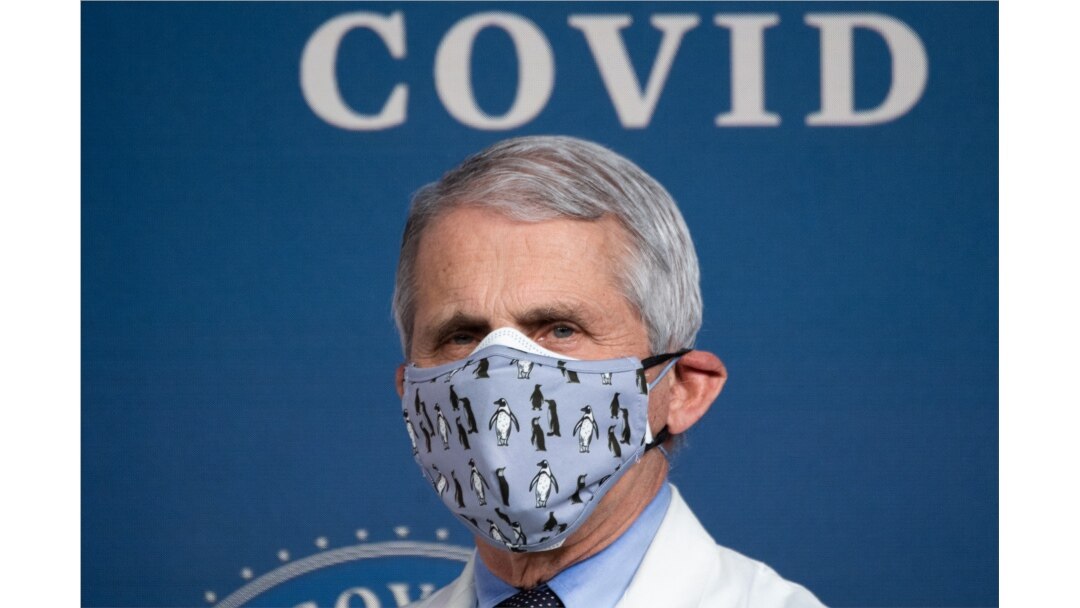 Dr. Anthony Fauci, pakar penyakit menular AS. (Foto: dok.)