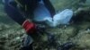 In Greece's Aegean Sea, Divers Find 'Gulf of Plastic Corals'