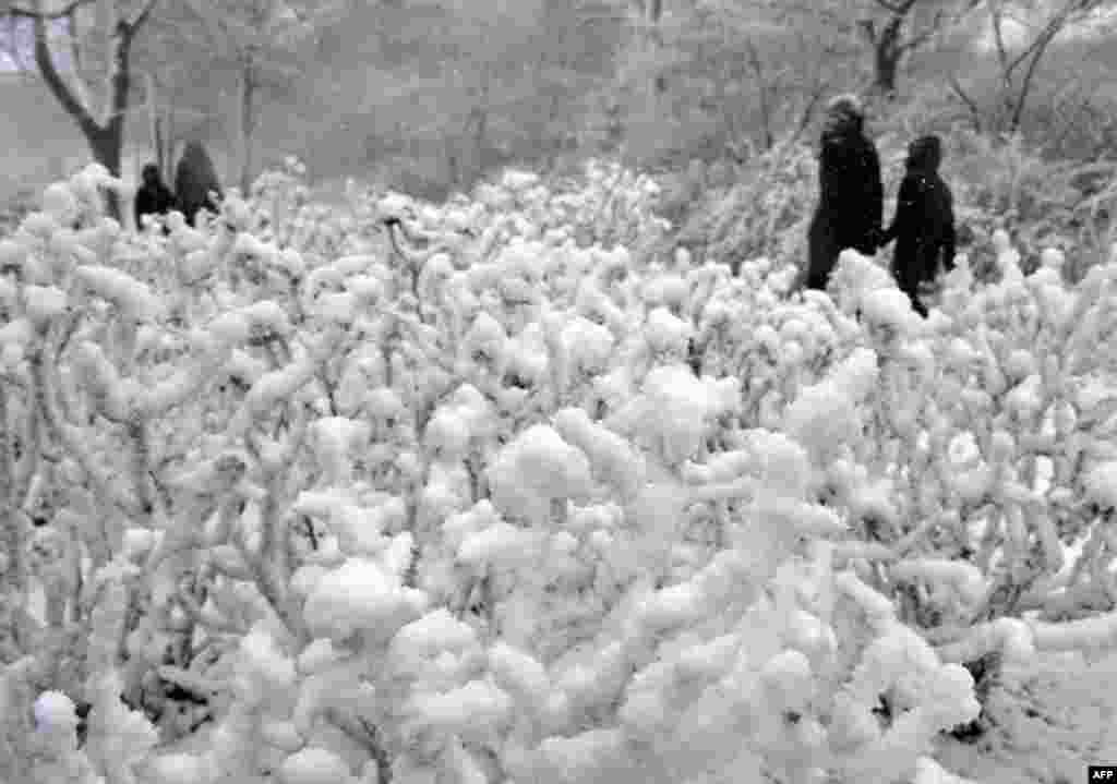 People walk past snow-covered shrubs at the Planten un Blomen park in Hamburg, northern Germany.