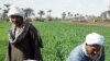 Rural Egyptians Welcome Change, Economic Worries Linger