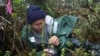 Botanist Steve Perlman collects seeds from of the few remaining Platanthera holochila, a native orchid species which is on the Plant Extinction Prevention program’s target list. (Photo by ©Hank Oppenheimer) 