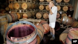 Winemaker Tom Montgomery stands in wine and reacts to seeing damage following an earthquake at the B.R. Cohn Winery barrel storage facility, Aug. 24, 2014, in Napa, California. 
