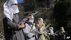 حکومت افغانستان می گوید که در ۲۰۱۴ حدود ۸۰۰۰ جنگجوی طالب را از بین برده است