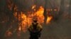 加州山火規模巨大 致死人數維持低點