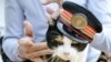 Kucing Terkenal “Tama” Dikubur Hari Ini di Jepang