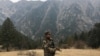 阿富汗安全部队一名成员在奴里斯坦省站岗。