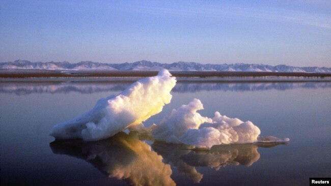 Sea ice floats within Arctic National Wildlife Refuge, Alaska, undated handout photo from U.S. Fish and Wildlife Service.