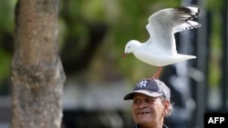 FILE - A man with a seagull on his head smiles at tourists near the harbor in Sydney, April 22, 2014.