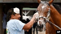 Groom Cesar Abrego gives a bath to a horses following his morning workout at Churchill Downs, April 19, 2017, in Louisville, Kentucky. Abrego came from Guatemala on an H-2B visa. (AP Photo/Timothy D. Easley) 