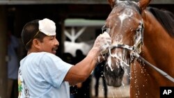 Groom Cesar Abrego gives a bath to a horses following his morning workout at Churchill Downs, April 19, 2017, in Louisville, Kentucky. Abrego came from Guatemala on an H-2B visa.