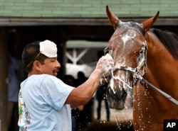 Groom Cesar Abrego gives a bath to a horses following his morning workout at Churchill Downs, April 19, 2017, in Louisville, Kentucky. Abrego came from Guatemala on an H-2B visa.