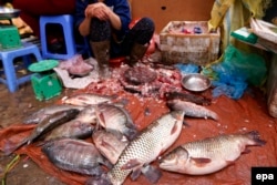 Hội nghề cá Việt Nam khuyến cáo không dùng cá đánh bắt trong thời gian này.