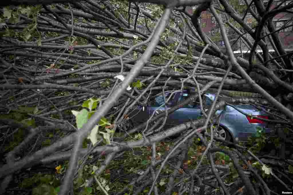 A car is crushed under a fallen tree in the Lower East Side in the aftermath of Hurricane Sandy in New York, October 30, 2012. 