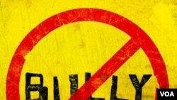 Bully, dokumentarni film