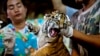 Tiongkok Langgar Aturan Konservasi Harimau