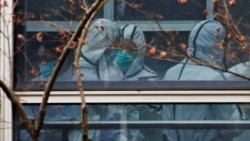 세계보건기구(WHO) 전문조사단이 지난 1월 중국 우한에서 신종 코로나바이러스 기원 조사를 진행하고 있다.