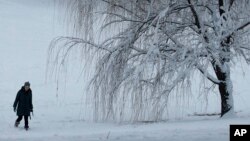 Una mujer pasa junto a un árbol cubierto de nieve en Loose Park, el domingo 13 de enero de 2019, después de una tormenta de invierno que dejó caer más de 8 pulgadas de nieve en el área de Kansas City.