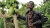 Agroforestry Offers Solutions to World Hunger