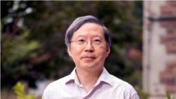 圣路易斯华盛顿大学经济学教授王平