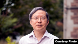 聖路易斯華盛頓大學經濟學教授王平