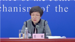 Wang Bin, spokesperson for Bureau of Disease Control and Prevention, National Health Commission of China