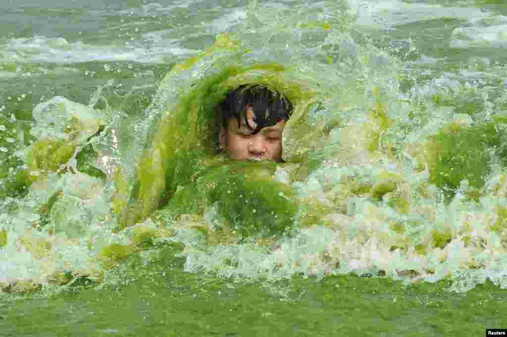 A boy plays on a algae-covered beach in Qingdao, Shandong province, China, July 18, 2016.