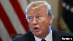 FILE - U.S. President Donald Trump speaks during a meeting in the Cabinet Room of the White House, in Washington, Jan. 11, 2019.