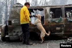 Karen Atkinson, of Marin, searches for human remains with her cadaver dog, Echo, in a van destroyed by the Camp Fire in Paradise, Calif., Nov. 14, 2018.