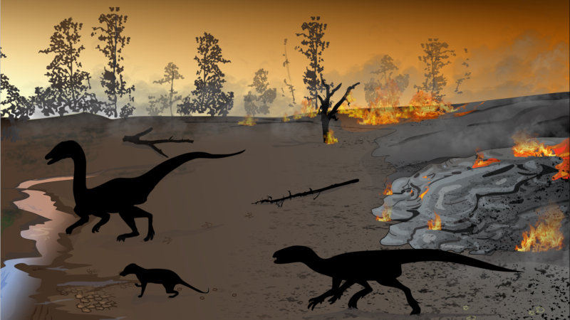 Study: ‘Firewalker’ Dinosaurs Survived South Africa’s Land of Lava