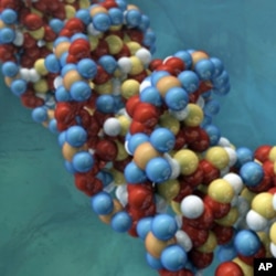 The 1000 Genomes Project aims to sequence the genetic code of 2,500 people.