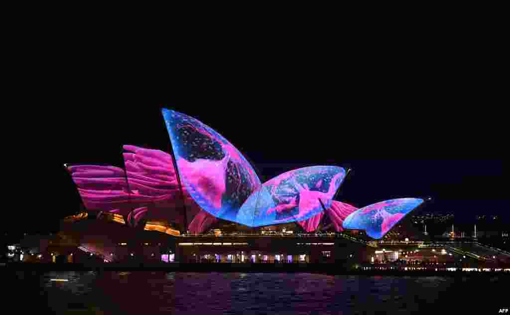 Pertunjukan cahaya mengubah penampilan Gedung Opera di kota Sydney, Australia.