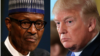 Buhari (Hagu) Trump (Dama)