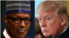 Trump reçoit Buhari, priorité à la lutte anti-terroriste