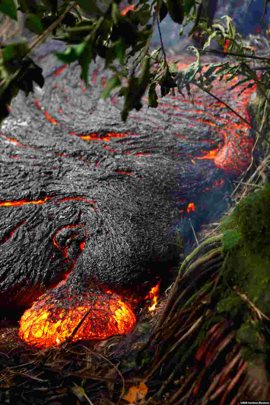 A lava toe oozes out of the northern margin of the Kilauea volcano lava flow in thick forest, about 300 meters (328 yards) upslope of the leading edge of the flow near Pahoa, Hawaii, Nov. 1, 2014.