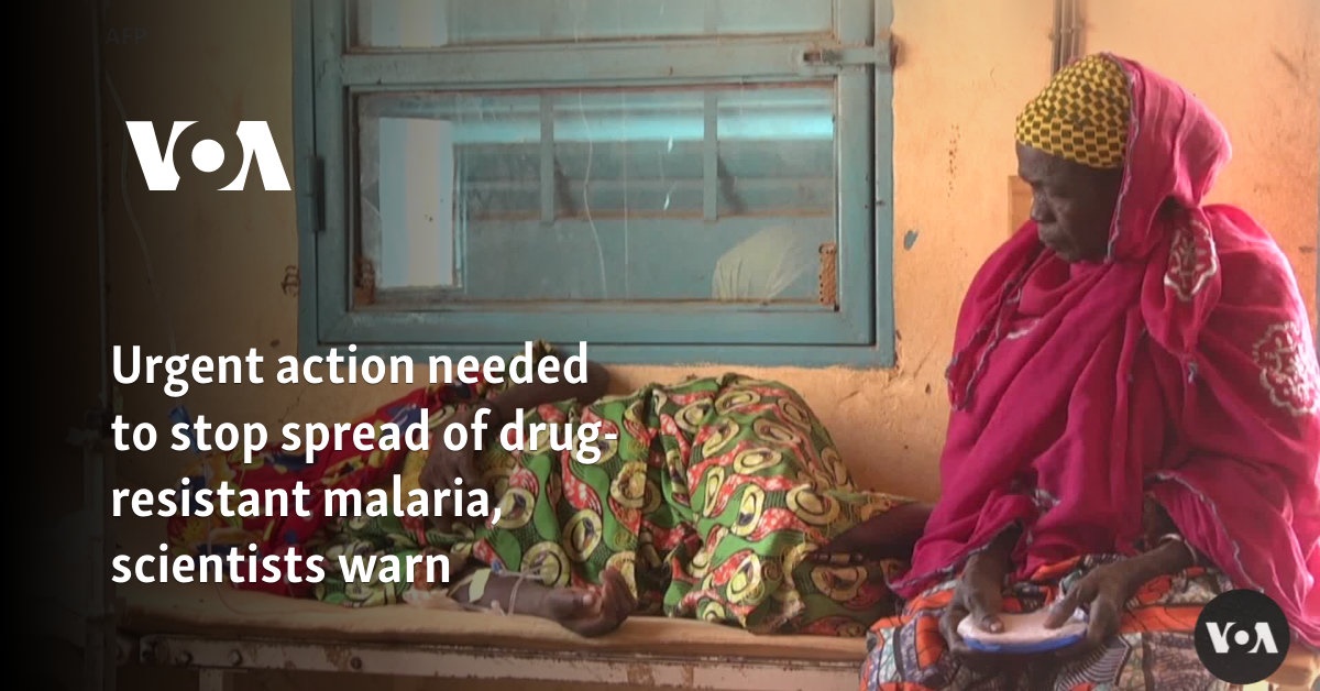 Scientists warn urgent action needed to stop spread of drug-resistant malaria