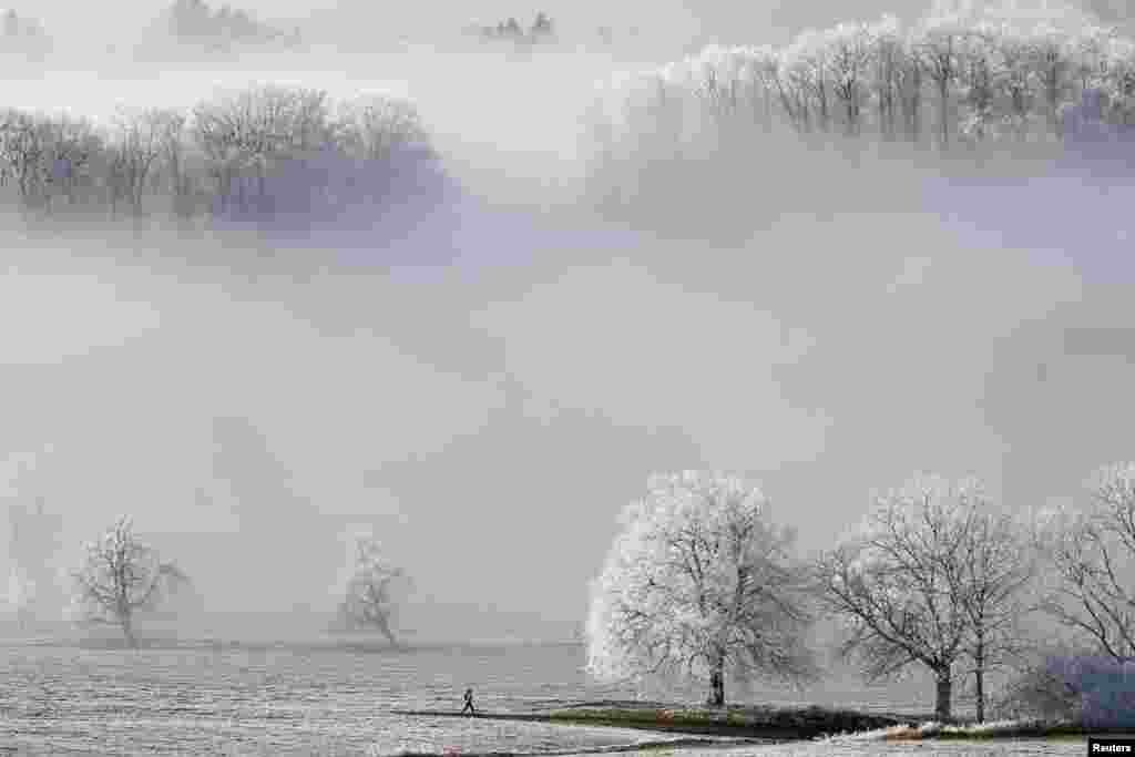 A jogger runs&nbsp; on a Albispass mountain pass surrounded by ice-covered trees, Switzerland.