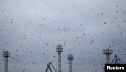 FILE - Birds fly over the Black Sea port of Varna, where pipes meant to be used for construction in the terminated South Stream gas project are stored, in Bulgaria, March 27, 2018.