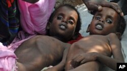 Somalie: les Nations Unies déclarent la famine dans deux régions