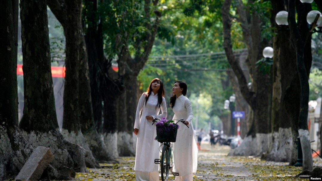 Hà Nội có kế hoạch “chặt hạ 1.300 cây xanh, phần lớn là xà cừ lâu năm trong 3 tháng tới” để mở rộng đường ở thủ đô, gây ra nhiều chỉ trích trên mạng xã hội.