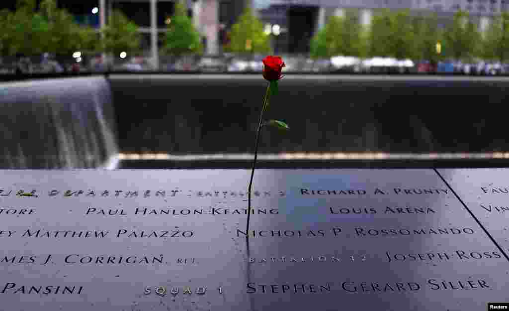 (FILE)A rose is placed on a name engraved along the South reflecting pool at the Ground Zero memorial site during the dedication ceremony of the National September 11 Memorial Museum in New York May 15, 2014. 