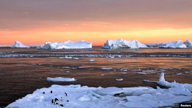 Pingüinos cerca de la estación francesa Dumont d’Urville en la Antártida.