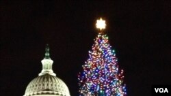 Mti wa Krismasi karibu na Jengo la Capital Hill, Wasgington DC