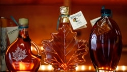 [VOA 현장영어 오디오] Maple sap is known to be good for your health