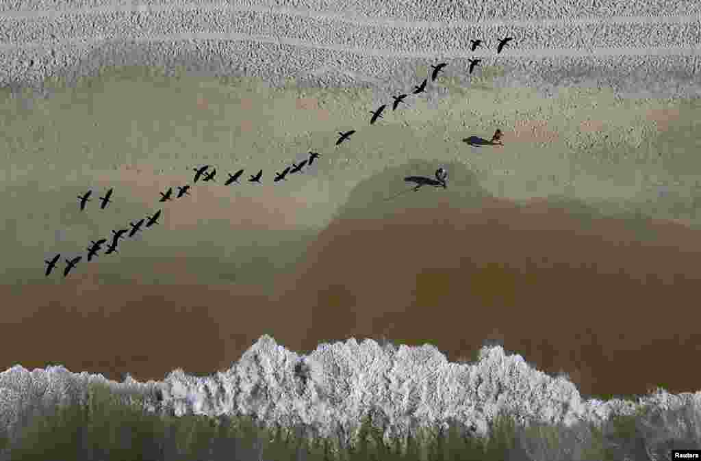 브라질 리우데자네이루 사오콘라도 해변에서 낚시꾼 위로 새들이 무리지어 날아가고 있다.