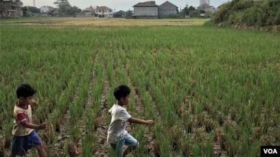 Walhi Selama 2018 Jawa Barat Punya 12 Kasus Lingkungan