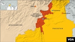 Chiến dịch quân sự kéo dài của quân đội Pakistan đã không thể nhổ bật gốc các căn cứ của quân nổi dậy từ các khu vực bộ tộc dọc biên giới Afghanistan.